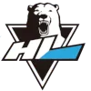 Logo HL Anyang