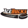 Logo Nikko Ice Bucks