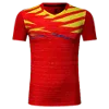 Logo Tornado-Pro